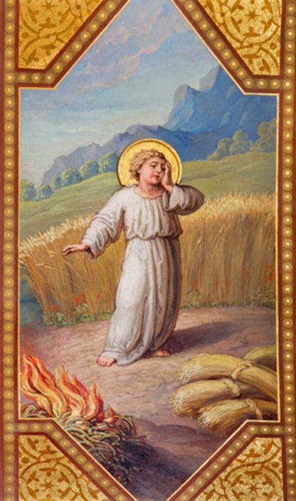 XVI Niedziela Zwykła 2026
